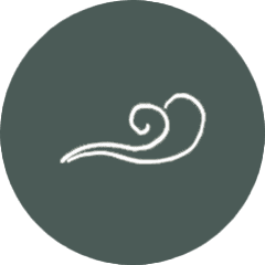 Ein Button Seebestattung