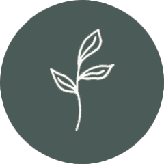 Ein Button Waldbestattung